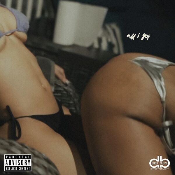 Cover art for All I Got